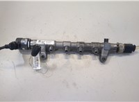 03L130089P Рампа (рейка) топливная Skoda Yeti 2009-2018 20477354 #1