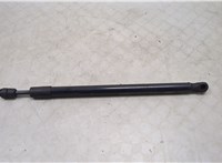  Амортизатор капота Hyundai Equus 2009-2016 20477398 #1