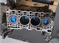 65195531106105 Блок цилиндров (Шорт блок) Mercedes Sprinter 2006-2018 20477467 #1