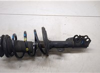 4851009N20, 4813106881 Амортизатор подвески Toyota Camry V40 2006-2011 20478113 #4