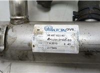  Клапан рециркуляции газов (EGR) Peugeot 3008 2009-2016 20478559 #2