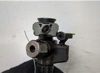 9674984080 Форсунка топливная Ford Mondeo 5 2015-2019 20478711 #2