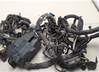  Электропроводка Honda Crosstour 2009-2015 20478738 #1