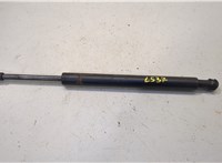  Амортизатор стекла багажника Volkswagen Touareg 2007-2010 20478808 #1