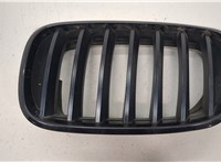 Решетка радиатора BMW X6 E71 2007-2014 20478940 #1