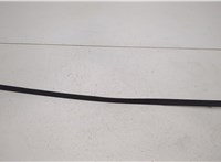  Молдинг стекла (лобовое) Ford Explorer 2019-2025 20479147 #1