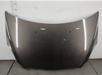  Капот Buick Enclave 2007-2013 20480046 #1