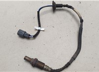  Лямбда зонд Lexus IS 2005-2013 20480049 #1