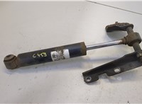  Амортизатор подвески Buick Enclave 2007-2013 20481268 #1