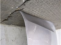 MR485951 Капот Mitsubishi Pajero / Montero 2000-2006 20481321 #6