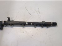 Рампа (рейка) топливная Mercedes Vito W639 2004-2013 20481325 #1