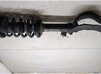 31316792929, 6792929, 31336782993, 6782993 Амортизатор подвески BMW X6 E71 2007-2014 20481422 #6