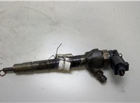0445110369 Форсунка топливная Volkswagen Passat 7 2010-2015 Европа 20481499 #1