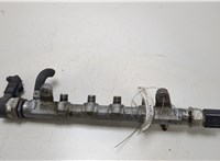  Рампа (рейка) топливная Volkswagen Passat 7 2010-2015 Европа 20481504 #5