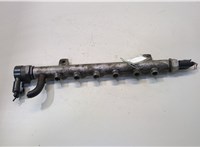  Рампа (рейка) топливная Volkswagen Crafter 2006-2016 20481818 #1
