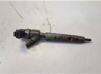 A6460700787 Форсунка топливная Mercedes C W203 2000-2007 20482038 #1