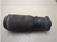 A1663200325 Пневмоподушка Mercedes GL X164 2006-2012 20482120 #6