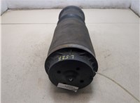 A1663200325 Пневмоподушка Mercedes GL X164 2006-2012 20482120 #7