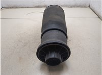 A1663200325 Пневмоподушка Mercedes GL X164 2006-2012 20482120 #8