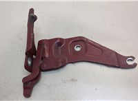 41007198617 Петля капота BMW X6 E71 2007-2014 20482197 #1