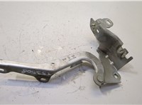  Петля капота Renault Laguna 3 2007- 20482252 #1