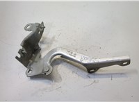  Петля капота Renault Laguna 3 2007- 20482255 #1