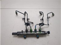  Рампа (рейка) топливная Mitsubishi Pajero 2006-2022 20482338 #1