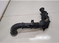  Измеритель потока воздуха (расходомер) Citroen Jumper (Relay) 2014-2025 11437353 #1