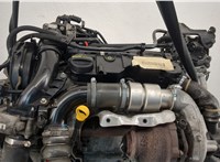 Двигатель (ДВС) Ford Focus 3 2011-2015 20483094 #5