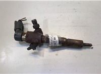  Форсунка топливная Ford C-Max 2002-2010 20483303 #1