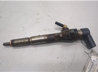  Форсунка топливная Nissan Qashqai 2006-2013 20483346 #1