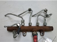  Рампа (рейка) топливная Nissan Qashqai 2006-2013 20483351 #1