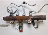  Рампа (рейка) топливная Nissan Qashqai 2006-2013 20483351 #3