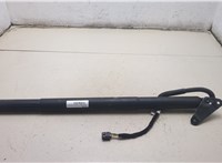  Амортизатор крышки багажника Volkswagen Tiguan 2016-2020 20483652 #5