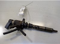  Форсунка топливная Ford S-Max 2006-2010 20483705 #1