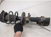  Амортизатор подвески Renault Laguna 3 2007- 20483712 #3