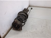  Амортизатор подвески Renault Laguna 3 2007- 20483743 #3