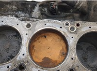  Блок цилиндров (Шорт блок) Lexus RX 1998-2003 20483767 #9