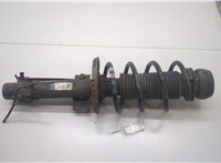  Амортизатор подвески Skoda Rapid 20483964 #1