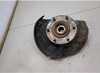 MR992374, MR992377, MN102281 Ступица (кулак, цапфа) Mitsubishi L200 2006-2015 20484036 #2