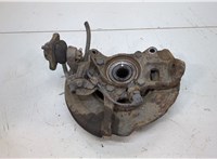 MR992374, MR992378, MN102282 Ступица (кулак, цапфа) Mitsubishi L200 2006-2015 20484037 #1