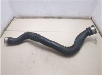 7797483 Патрубок интеркулера BMW 3 E90, E91, E92, E93 2005-2012 20484237 #4