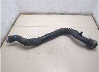 7797483 Патрубок интеркулера BMW 3 E90, E91, E92, E93 2005-2012 20484237 #5