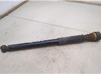  Амортизатор подвески Ford Focus 1 1998-2004 20484470 #1