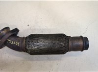  Гофра трубы приемной BMW X5 E53 2000-2006 20484697 #1