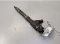 A6070700687 Форсунка топливная Mercedes Citan 20484784 #1