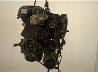  Насос гидроусилителя руля (ГУР) Ford Focus 2 2005-2008 11438259 #1