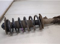  Амортизатор подвески Chevrolet Captiva 2006-2011 20485093 #1