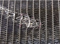 1640027060 Радиатор охлаждения двигателя Toyota RAV 4 2000-2005 20485207 #2