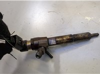 Форсунка топливная Ford Focus 2 2008-2011 20485215 #6